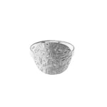 Brick Coin Ring Silver